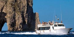 In viaggio per lavoro - Staiano Tour Capri